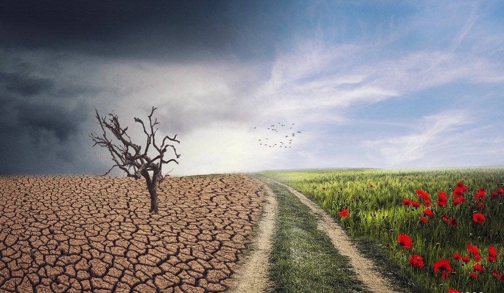 This is A Life Changing Mental&nbsp;Shift.