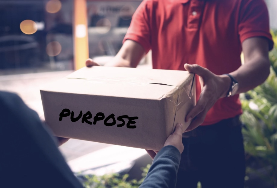 Your Purpose Has&nbsp;Arrived…