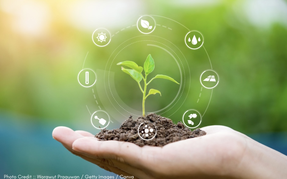 Seeds of Potential: Using Your Inner Resources to Start Your&nbsp;Journey.