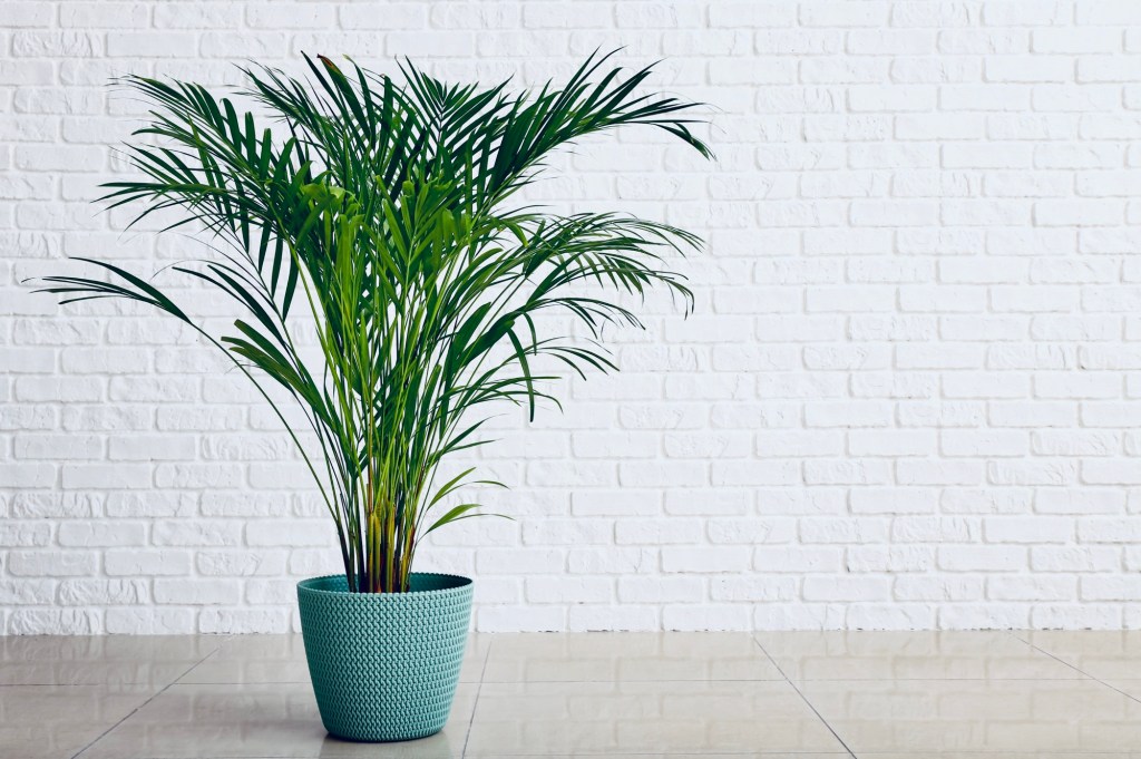 Are You Thriving Where You’re Planted? Questions to Ask Before You Uproot&nbsp;Everything